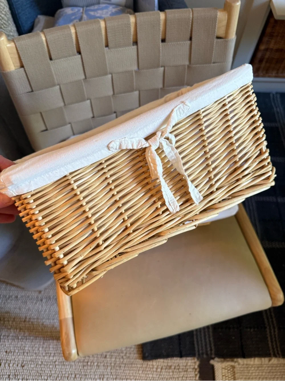 Woven Baskets with Fabric Liners